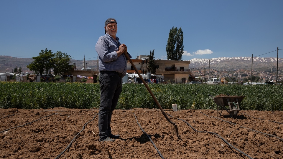 Kassem El Zo‘obi, born and raised in Saadnayel, Lebanon, adds manure to his field as a natural fertilizer.